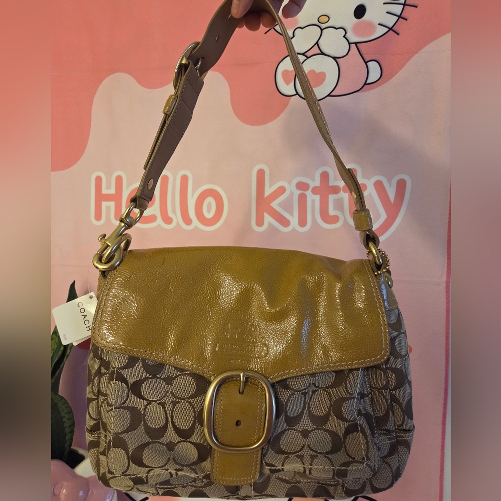 Coach Brown and Tan Women's Bag